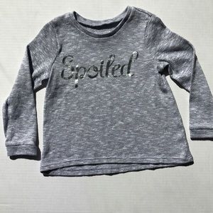 The Children's Place Grey Sweater, Size 3T